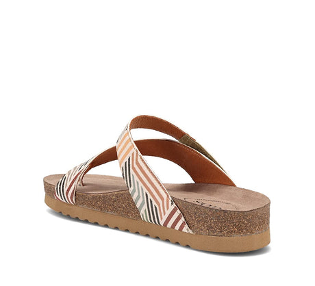 Geometric Multi