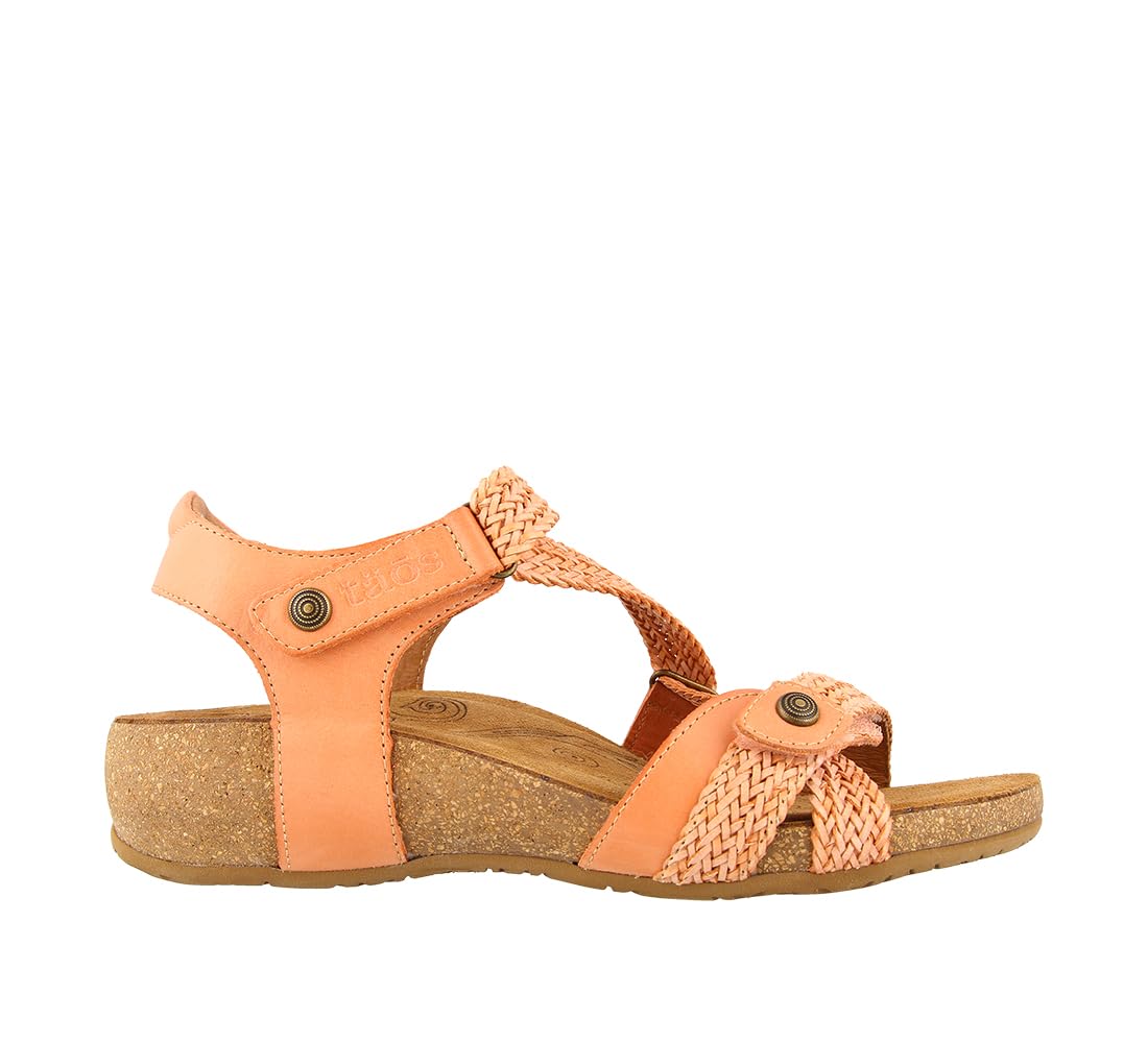 Cantaloupe