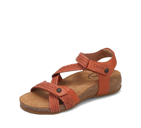 Terracotta