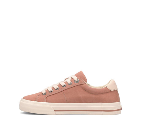 Clay/Cream Distressed