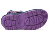 Mesh Iris Orchid