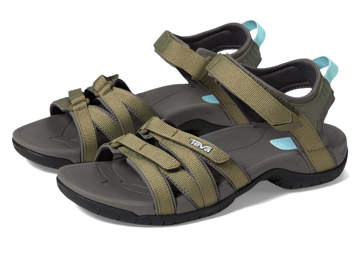 Burnt Olive