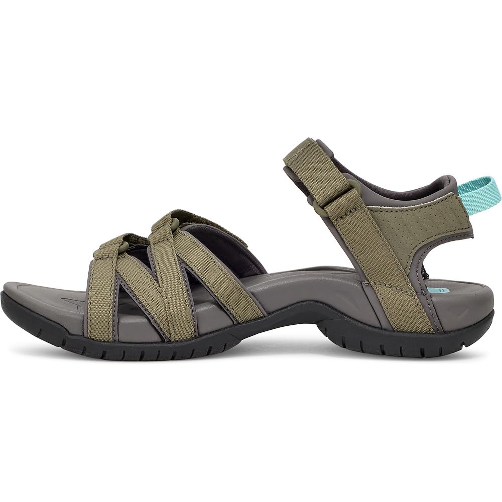 Burnt Olive