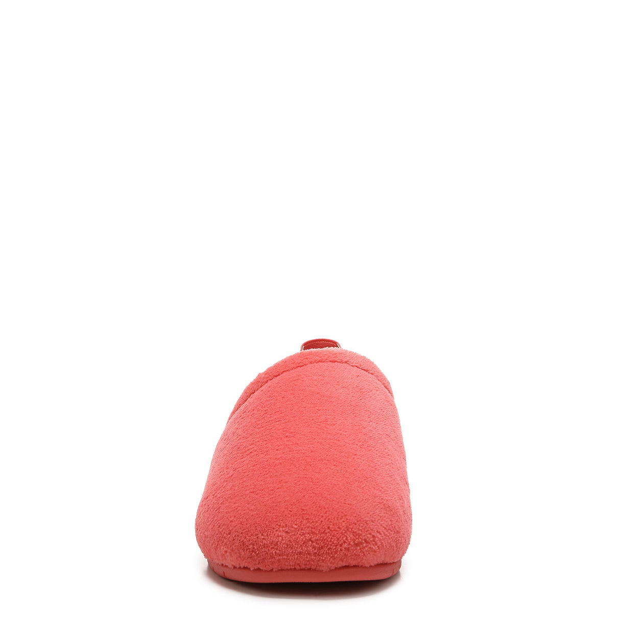 Fuji Apple