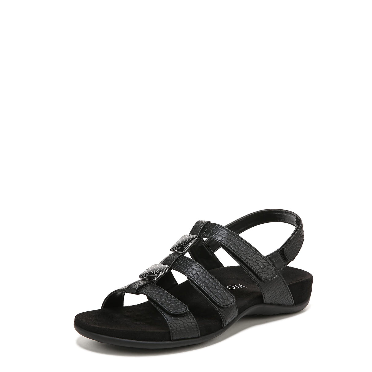 Black Crocodile
