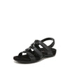 Black Crocodile