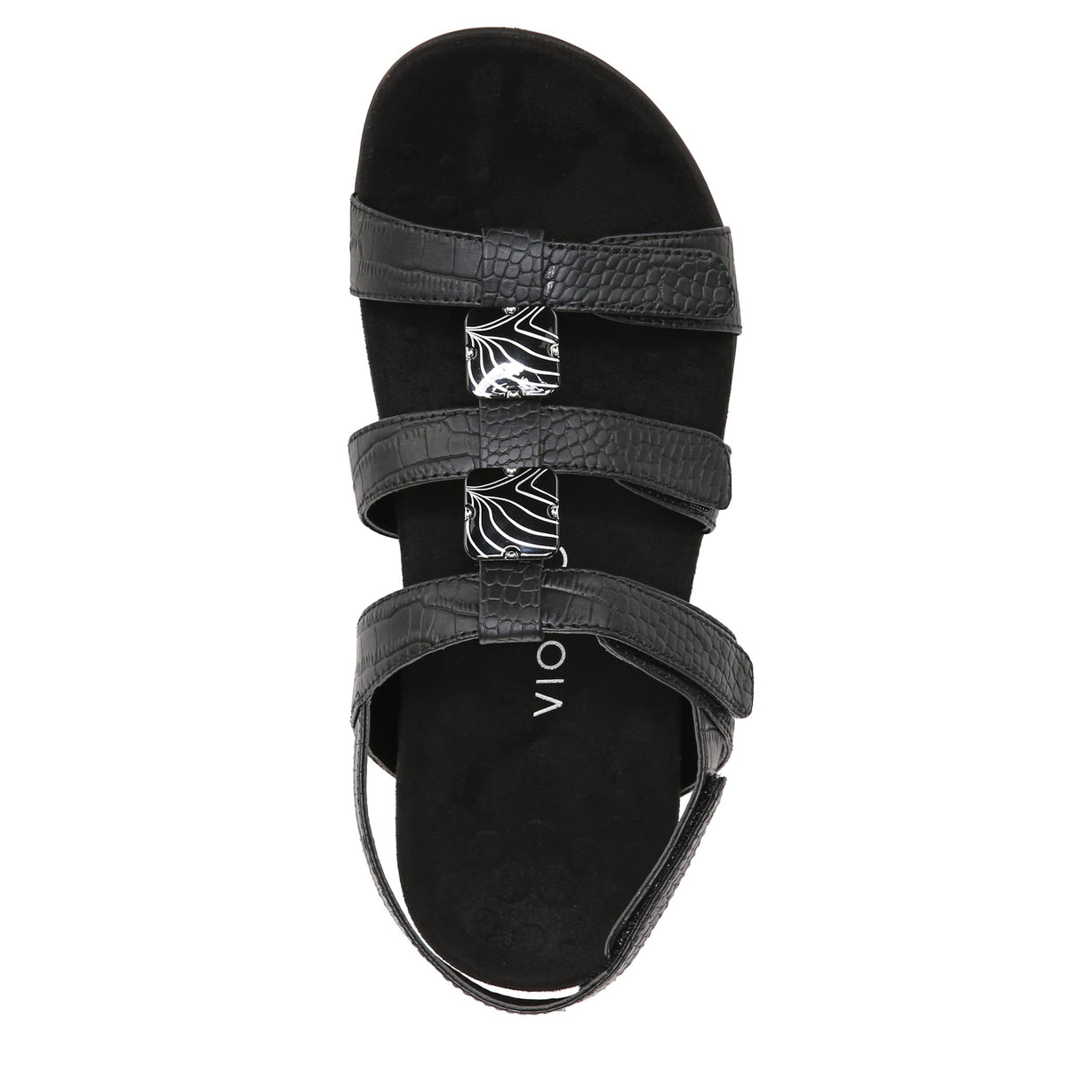 Black Crocodile