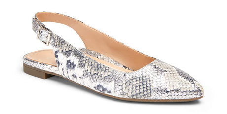 Silver Boa