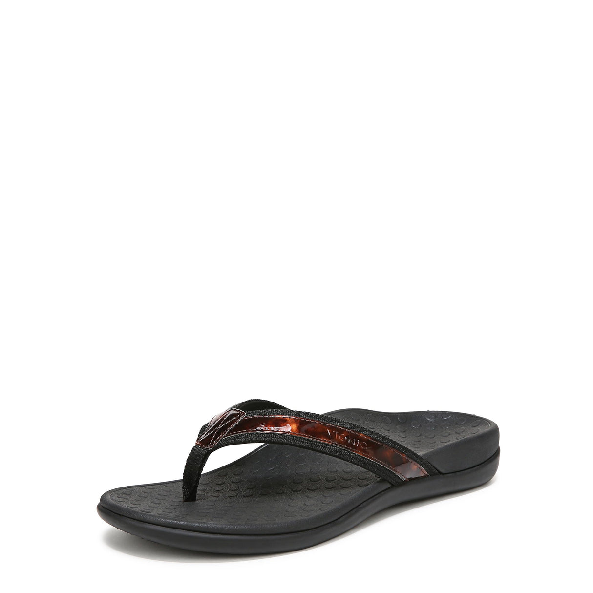Black Tortoise
