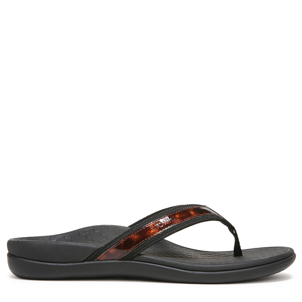Black Tortoise