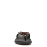 Black Tortoise