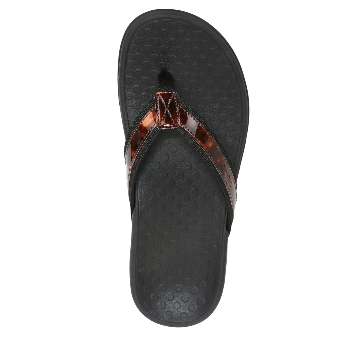 Black Tortoise