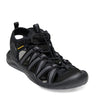 black/black
