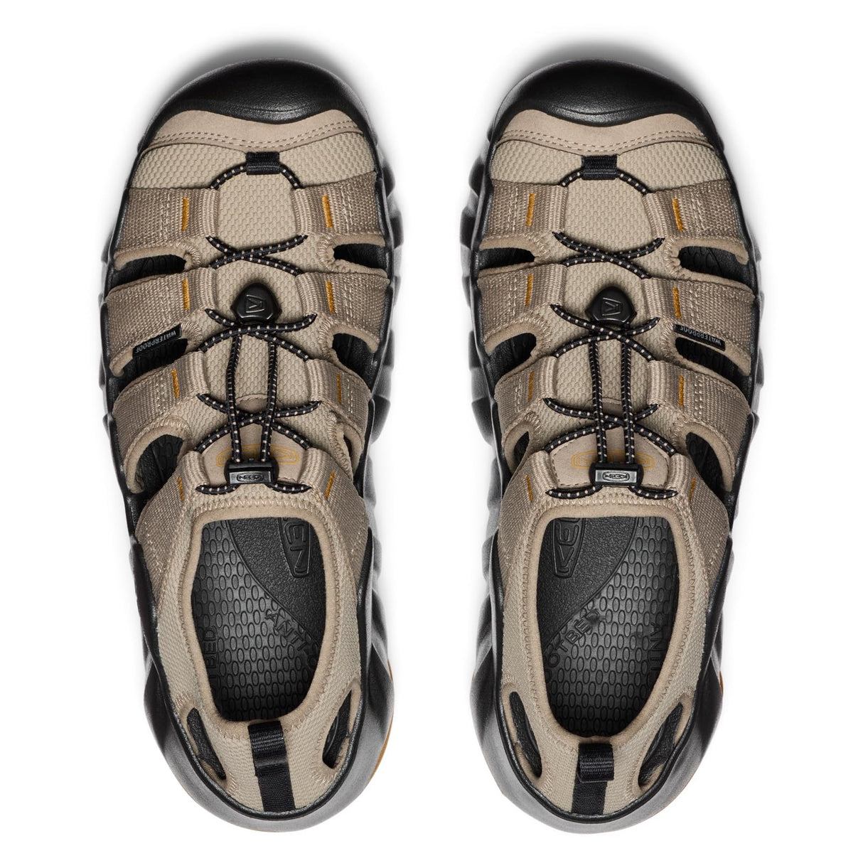 Brindle/Black