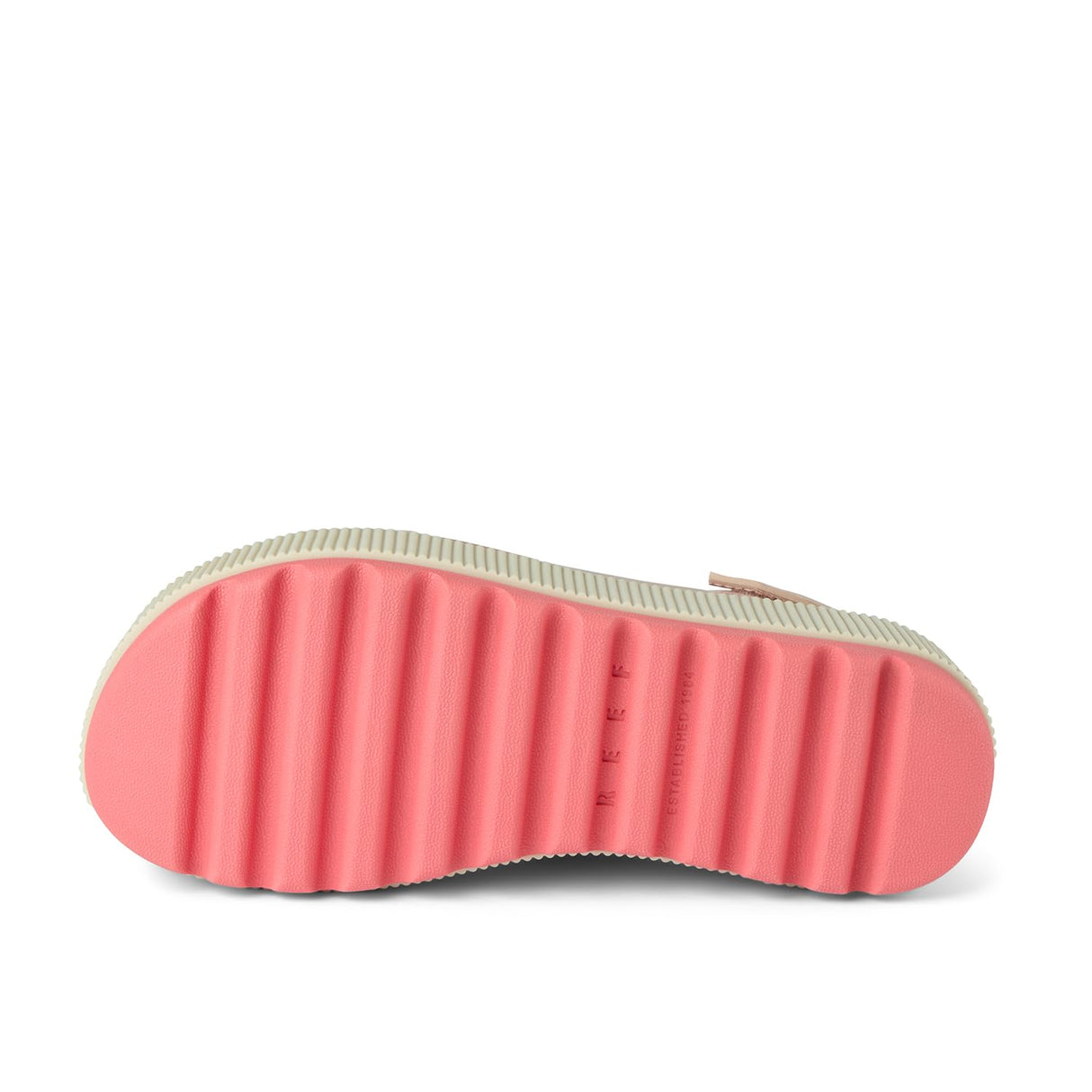 Sunset Coral