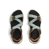 Sage/Olive Multi