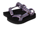 Lupine/ Black