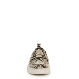 Ivory Multi