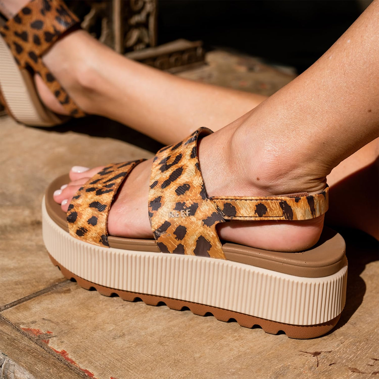 Leopard