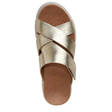 Gold Leather