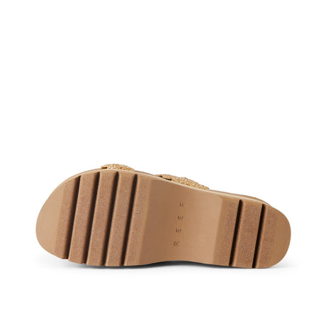 Scalloped Tan