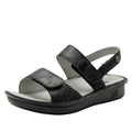 Basketry Black
