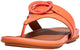 Sunshine Coral
