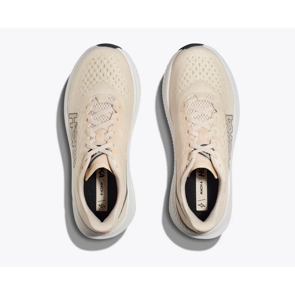 Eggnog / Vanilla