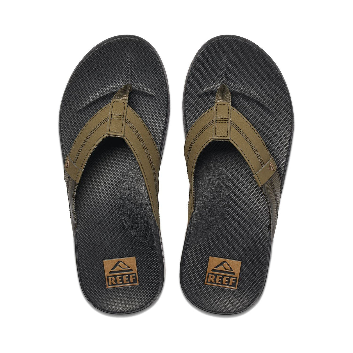 Olive Swells