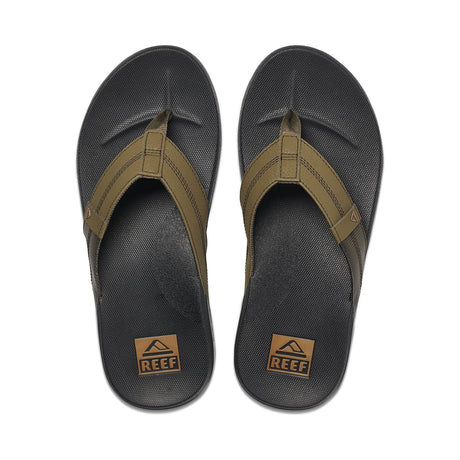 Olive Swells