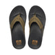 Olive Swells