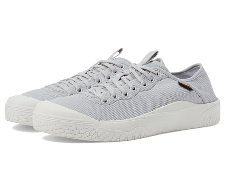 Lunar Rock