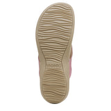 Rhubarb