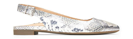 Silver Boa