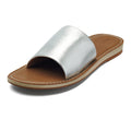 Silver/Tan