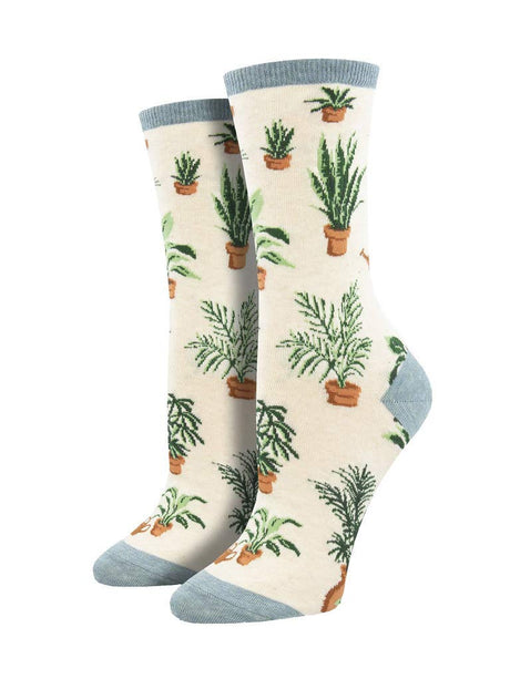 Ivory Heather