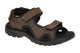 Cocoa Brown