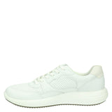White/Shadow White