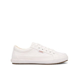 White Canvas