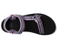 Lupine/ Black