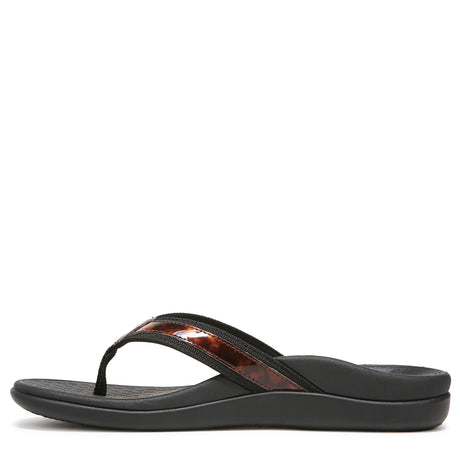 Black Tortoise