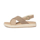 Plaza Taupe/Brindle