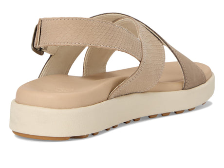 Plaza Taupe/Brindle