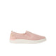 Cameo Rose