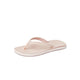 Cameo Rose