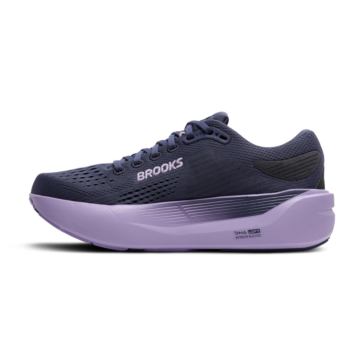 Nighshadow/Ebony/Purple