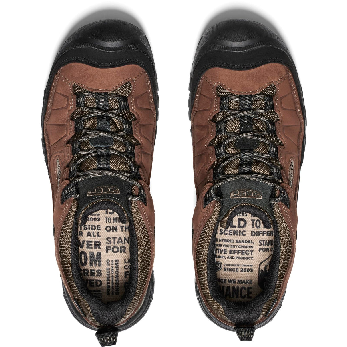 Bison/Black