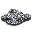 Grey Leopard