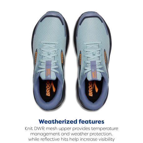 Country Blue/Winter Sky/Ebony