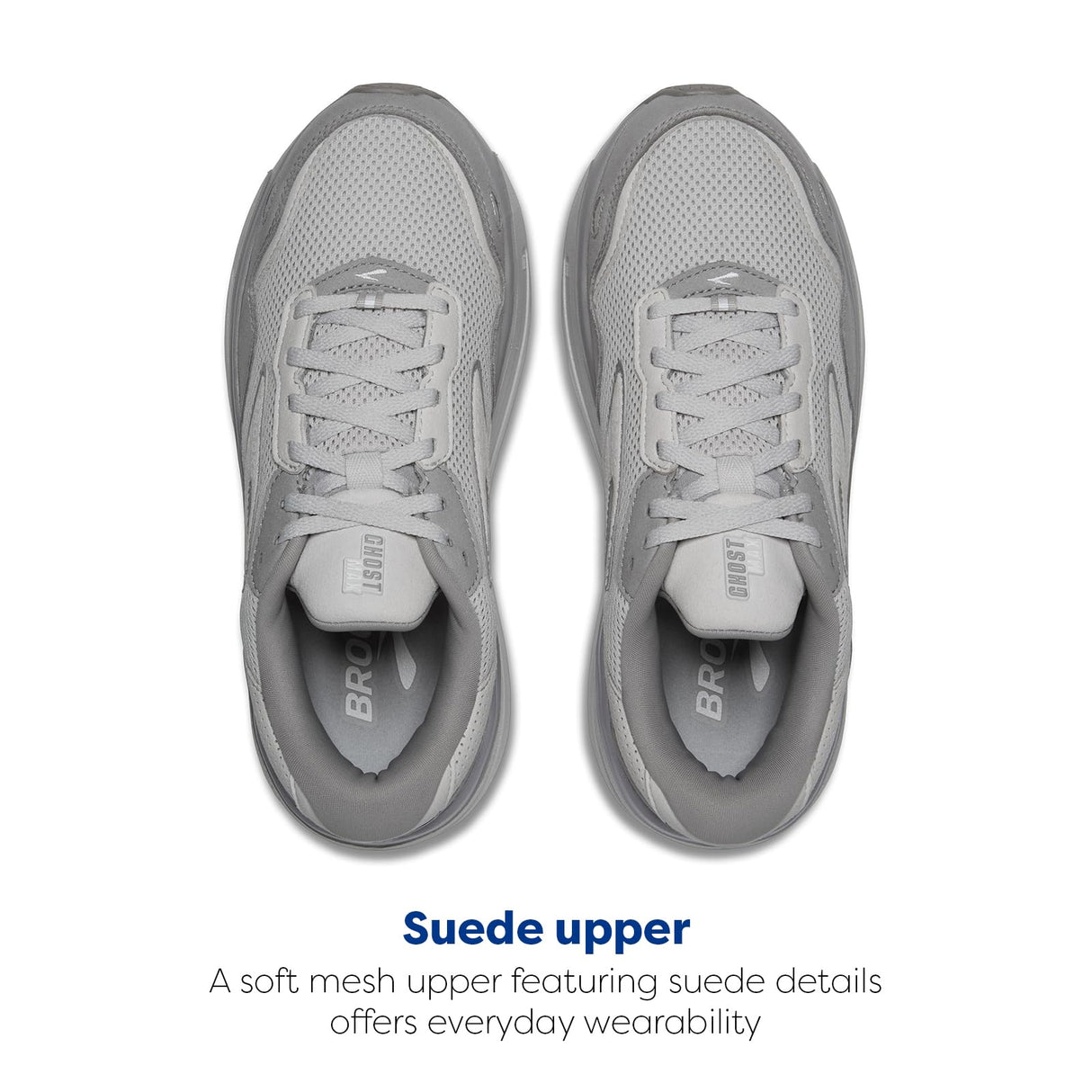 Oyster/Alloy/Antarctica